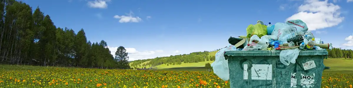 EPR bevallas es kepviselet